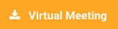 virtual meeting